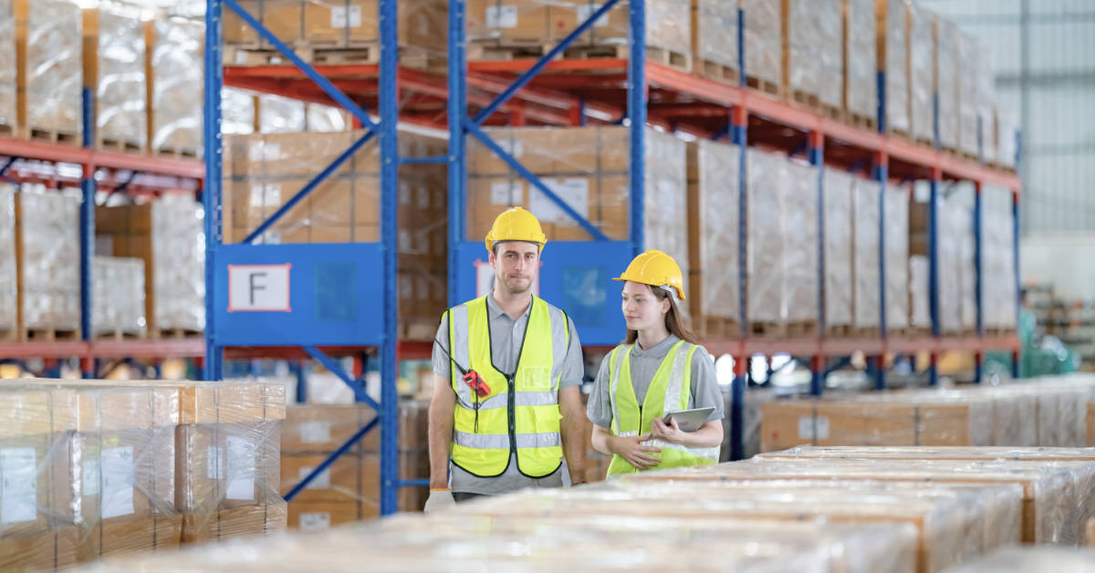 logistica